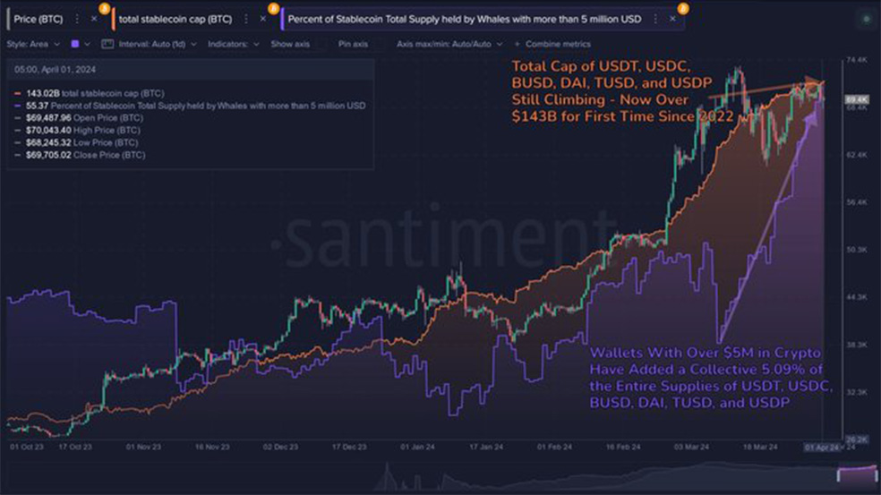 55 درصد از عرضه استیبل کوین ها از جمله USDT، USDC، DAI در اختیار نهنگهاست؛ بولران دیگری در راه است؟ 1 whale holdings stablecoin