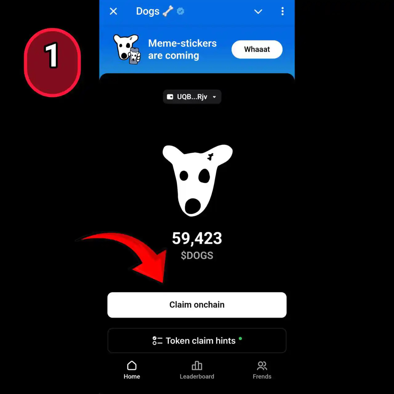نحوه برداشت توکن داگز 1 5935804546246885901