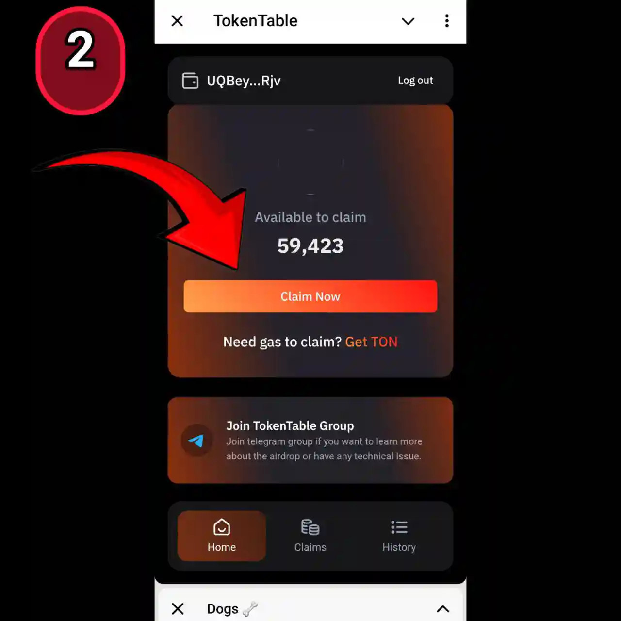 نحوه برداشت توکن داگز 2 5935804546246885902