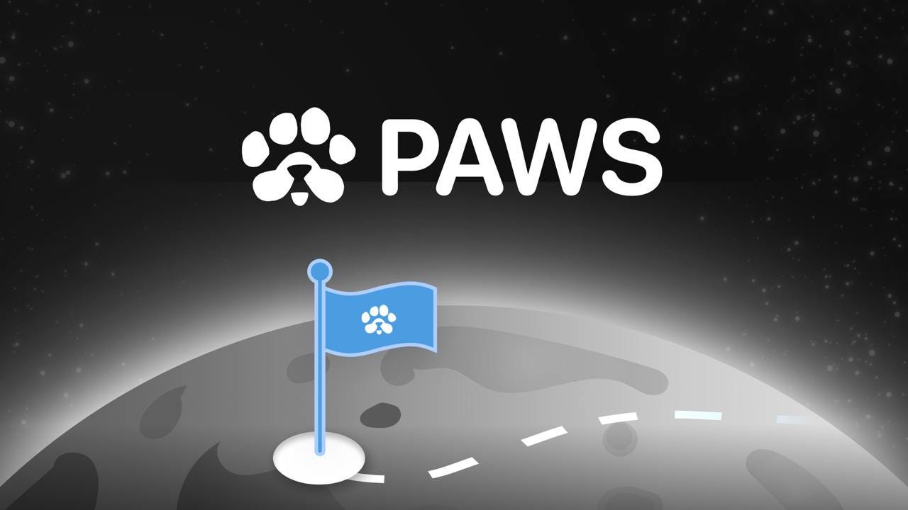 معرفی ایردراپ PAWS 1 ایردراپ PAWS