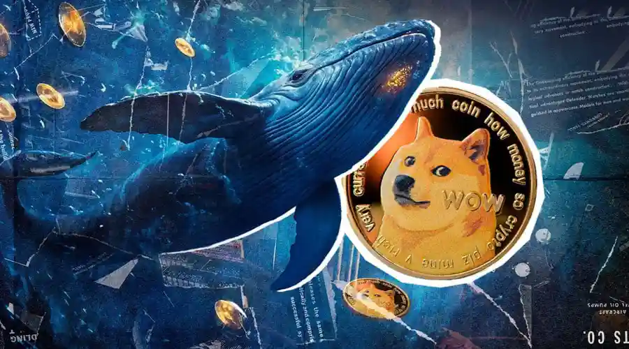 سیستم پرداخت X Money